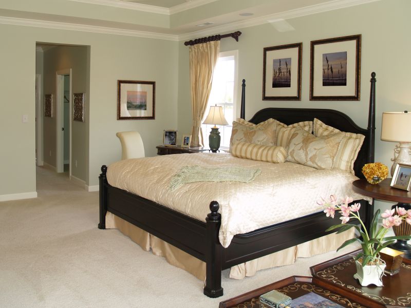 Master Bedroom Colors